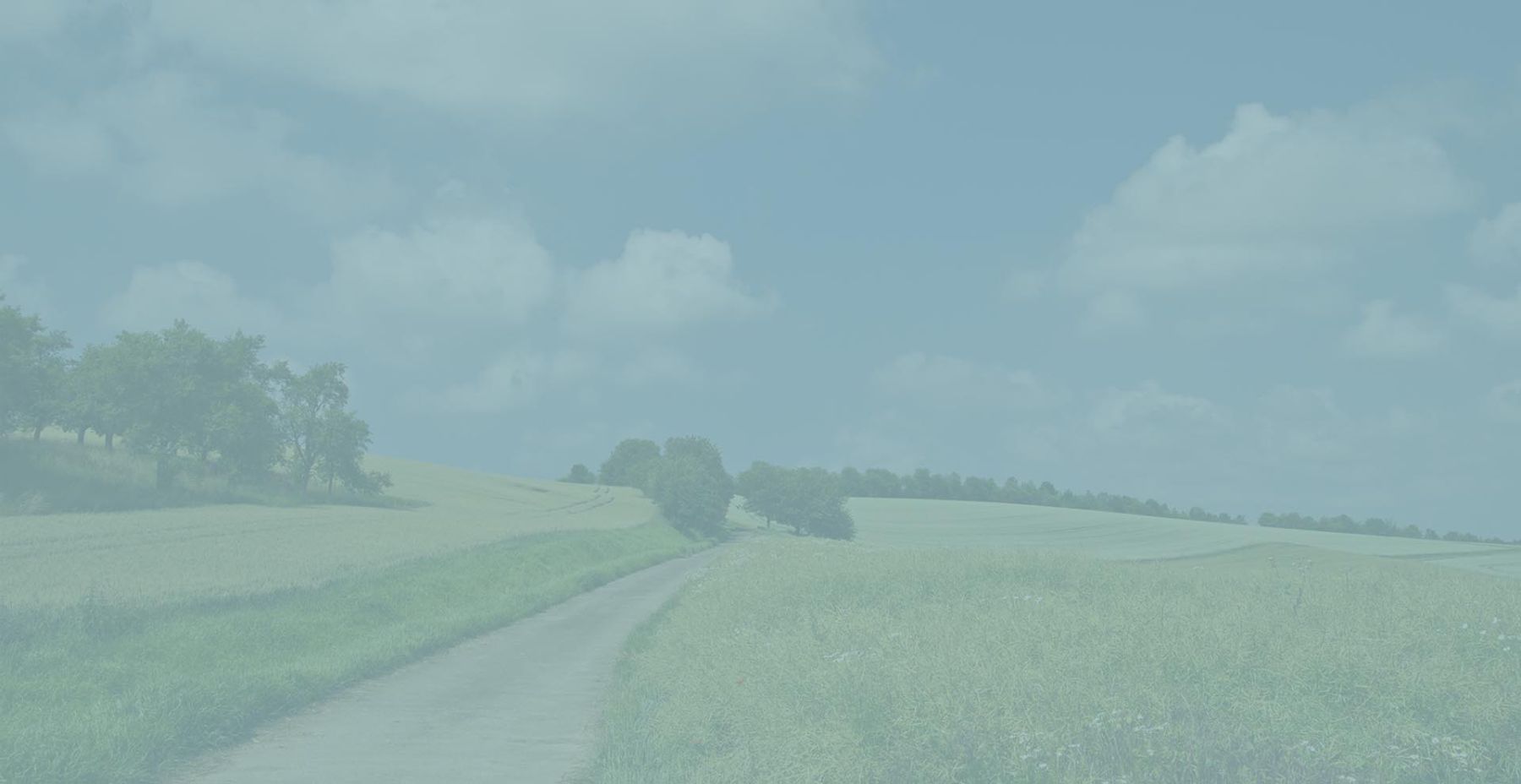 Realise the potential of your land