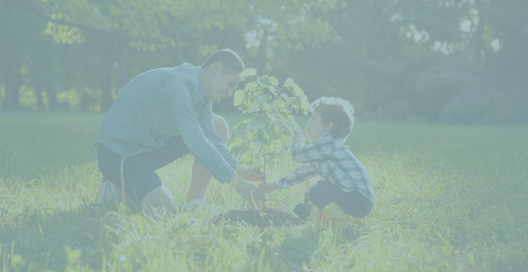 Create a sustainable legacy