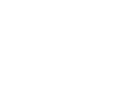 team_white