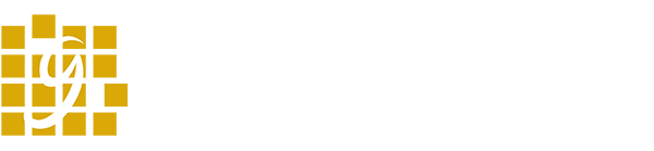 play logo